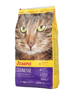 Buy Adult Cat Dry Food For Skin And Coat Care Salmon Flavor 4.25 kg in Saudi Arabia