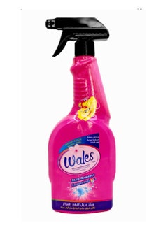 Buy Wales Stain Remover Concentrated 700ml in UAE