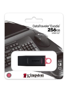 Buy KINGSTON 256GB USB3 2 G1 DTE Blk Pink USB Flash Drives - DTX/256GB in Saudi Arabia