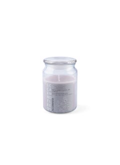 اشتري Indulgence Jar Candle 420gm fig Coriander في الامارات