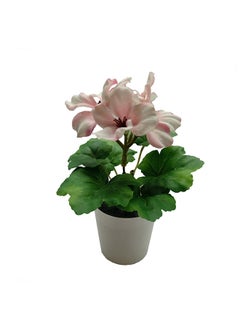 اشتري Geranium Plant With Pot 15cm Pink في الامارات