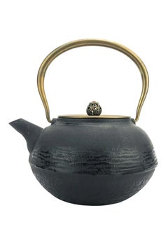 Buy Durable Coated with Enamel Interior Cast Iron Teapot with Stainless Steel Infuser for Brewing Loose Tea Leaf 1.2L Black in UAE