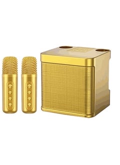 Buy YS 203 Portable Wireless Bluetooth Karaoke Speaker With Dual Microphone Golden in UAE