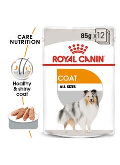 Buy Coat Care Dog Wet Food 12x85g in UAE