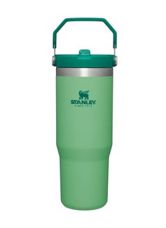 اشتري Stainless Steel Tumbler - Vacuum Insulated Water Bottle for Home, Office or Car Reusable Cup with Straw Leak Resistant Flip Cold for 12 Hours or Iced for 2 Days, Jade, (Packaging May Vary) 30oz في الامارات