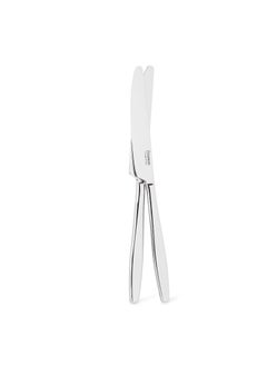 اشتري 2-Piece Dinner Knife 23cm, 18/10  Stainless Steel Cutlery Set TRENTO Series في الامارات