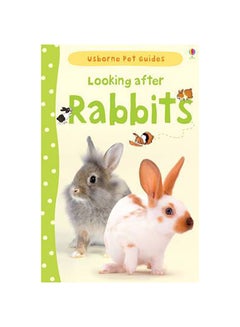 Buy Looking After Rabbits printed_book_paperback english in UAE