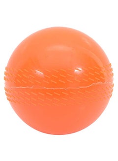 Buy Cricket Wind Ball 9inch in UAE