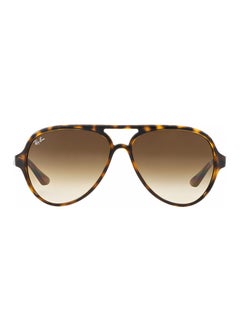 Buy Men's Aviator Sunglasses - RB4125-710/51-59 - Lens Size: 59 mm - Brown in UAE