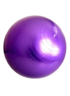 Buy Aerobic Exercise Ball in Saudi Arabia