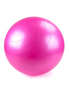 Buy Anti Burst Gym Exercise Ball With Air Pump in Saudi Arabia