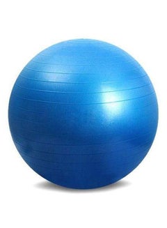 Buy Balance Stability Yoga Ball With Air Pump in Saudi Arabia
