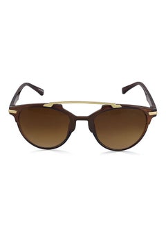 Buy Men's UV Protected Hawk Eye Sunglasses - Lens Size: 52 mm in UAE