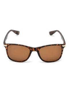 Buy Wayfarer Sunglasses in UAE