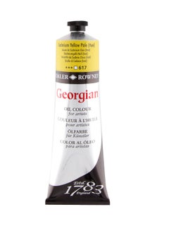 Buy Georgian Oil Colour 225Ml Cadmium Yellow Pale Hue Cadium Yellow Pale in UAE