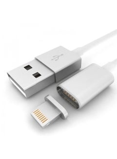 Buy Magnetic Charger Cable For iPhone Silver in UAE