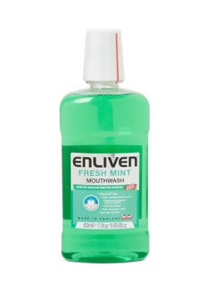 Buy Freshmint Mouthwash 500ml in Egypt