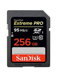 Buy SDHC Memory Card 256GB Black in UAE
