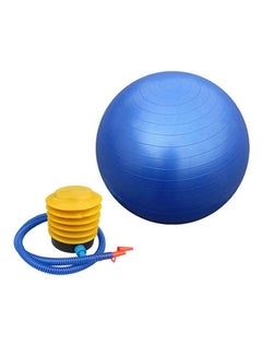 Buy Anti Burst Yoga Aerobic Swiss Ball 65cm in Saudi Arabia