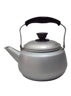 Buy Tea Kettle Silver in UAE