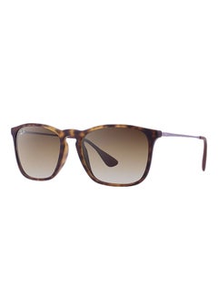 Buy Round Sunglasses in UAE