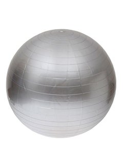 Buy Anti Slip Aerobic Swiss Ball - 65 cm 65cm in Saudi Arabia