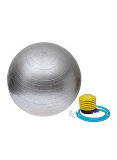 Buy Anti-Burst Swiss Ball - 65 cm 65cm in Saudi Arabia