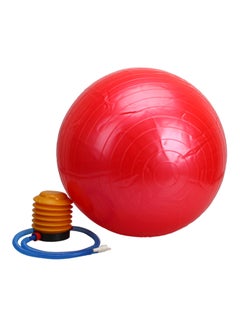 اشتري الكرة المطاطية السويسرية لتمارين الجذع في صالة الألعاب الرياضية – 65 سم 65سنتيمتر في الامارات