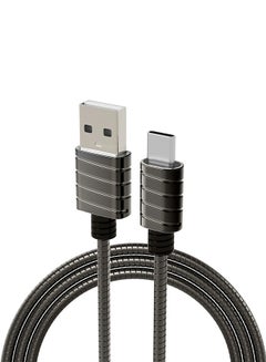 Buy Twister Type C Cable Grey in UAE