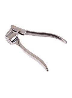 Buy Ginger And Garlic Press Silver 20cm in Egypt