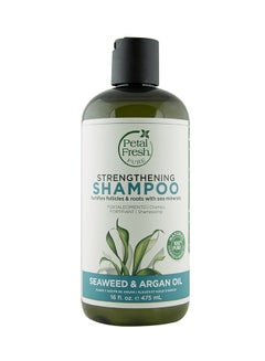 Buy Seaweed & Argan Oil Shampoo 16ounce in Saudi Arabia