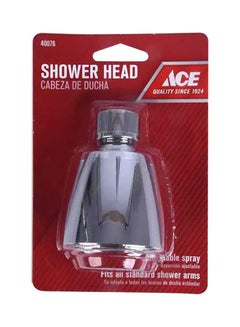 Buy Adjustable Shower Head Silver 5x4.5x2inch in Saudi Arabia