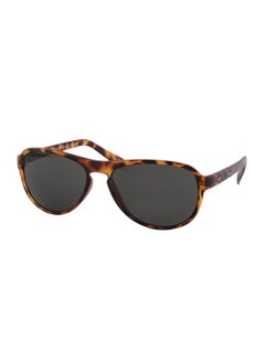 Buy Oval Sunglasses - Lens Size: 56 mm in UAE