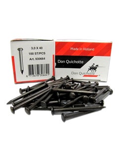 Buy 100-Piece Steel Nail Set Black 40x3mm in UAE