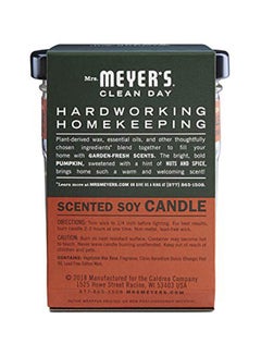 Buy Mrs. MeyerS Clean Day Scented Soy Candle, Pumpkin, Candle, 4.9 Ounce in UAE