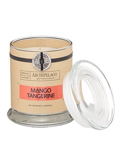 Buy Archipelago Mango Tangerine Glass Jar Candle in Saudi Arabia