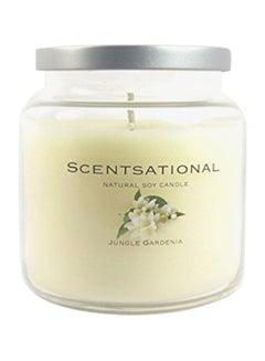 Buy Jungle Gardenia Candle Jar Ivory 6.1x4.6x4.5inch in UAE