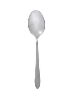 اشتري Stainless Steel Serving Spoon 10-Inch فضي في الامارات