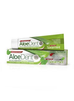 Buy Triple Action Spearmint Toothpaste 100ml in Saudi Arabia