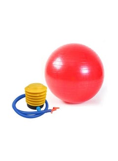 Buy Exercise Gym Ball 65cm in Egypt