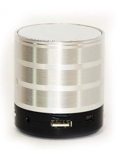 Buy Portable Wireless Bluetooth Speaker With Fm Radio Silver in Saudi Arabia