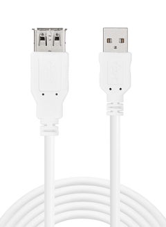 Buy USB 2.0 AA Extension Cable White in UAE