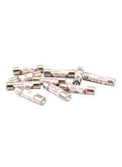 Buy 10-Piece Fuse 13A Ceramic Set White 0.4centimeter in Saudi Arabia