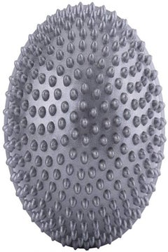 Buy PVC Inflatable Spiky Massage Ball Small in UAE