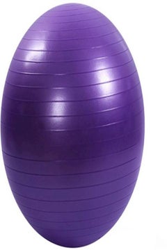 Buy Aerobics Fitness Swiss Ball in UAE