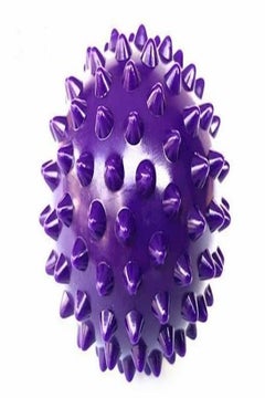 Buy Massage Ball Purple in Egypt