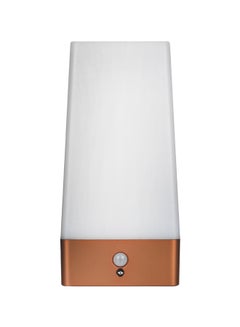 اشتري PIR Motion Sensor LED Portable Battery Operated Lamp أبيض/بني 16.2x8x8 سنتيمتر في الامارات