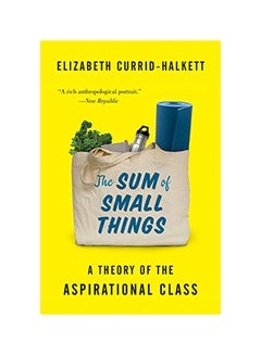 اشتري The Sum Of Small Things: A Theory Of The Aspirational Class paperback english في الامارات