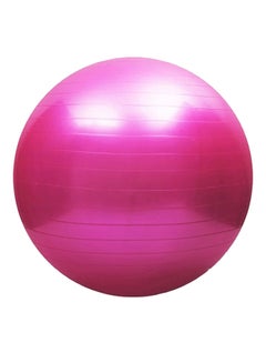 Buy Anti-Burst Slip Fitness Ball 75cm in Egypt