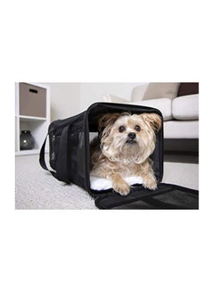 trusty pup easy explorer